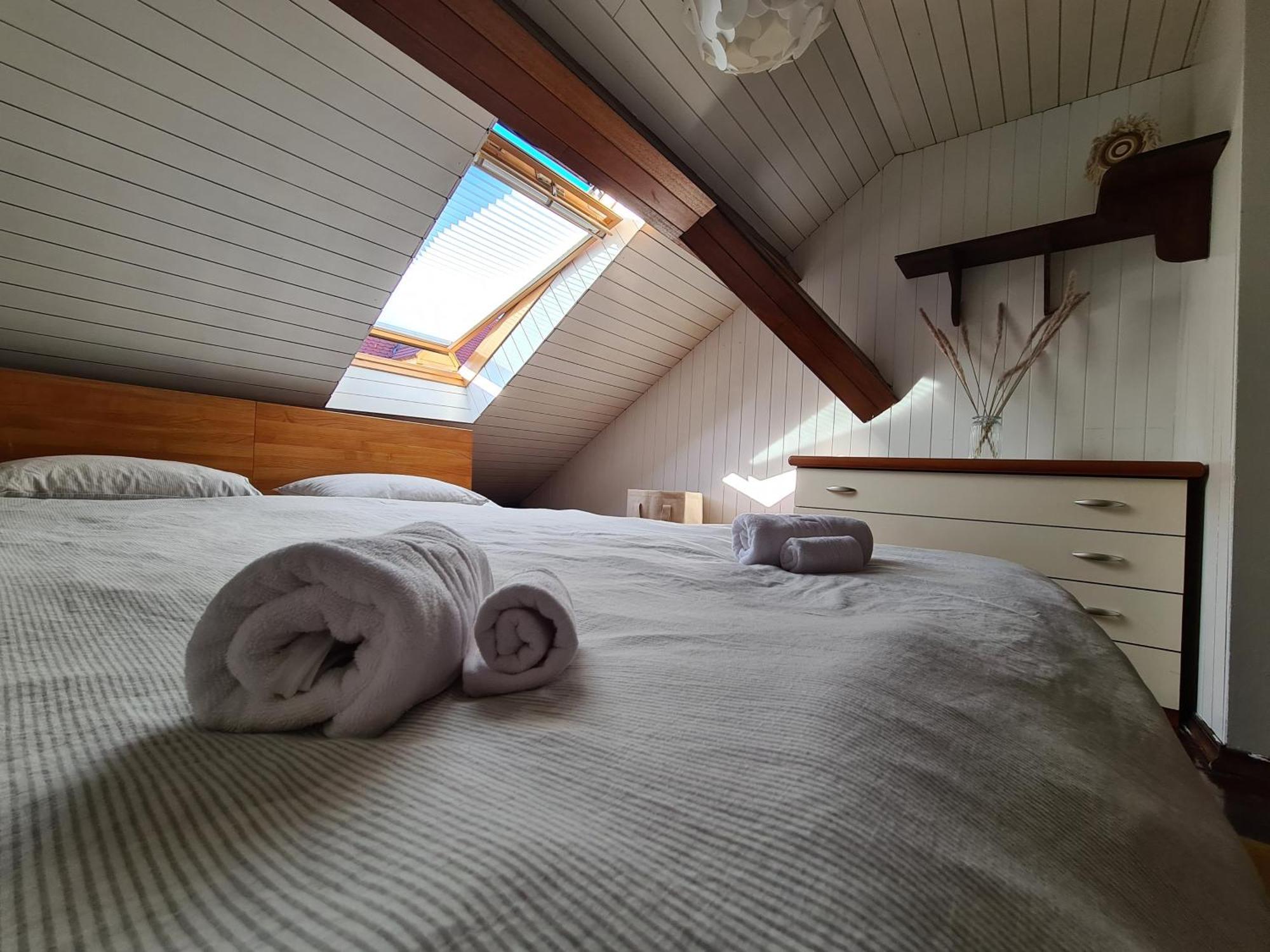 Old Town Cabin Apartment 萨格勒布 外观 照片